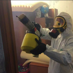 Уничтожение клопов в квартире. Алапаевск